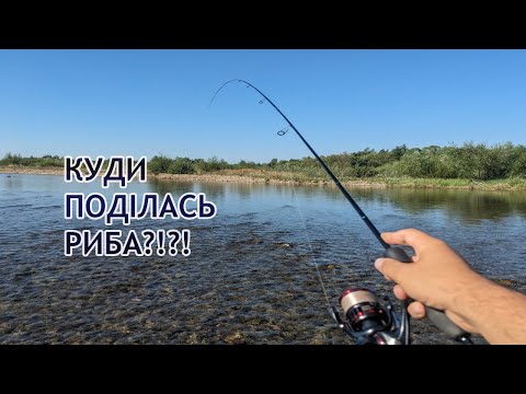 Видео: КУДИ ПОДІЛАСЬ ВСЯ ВЕЛИКА ФОРЕЛЬ!?!? Риболовля на Бистриці-Надвірнянській.