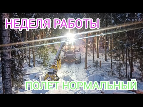 Видео: Неделя в лесу🌲🌲🌲 прошла успешно.