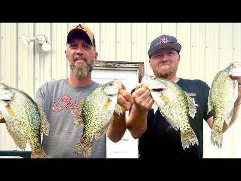 Видео: Ловля краппи на кучах кустарников