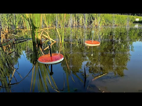 Видео: ЛОВЛЯ ЩУКИ НА КРУЖКИ. ДВУХДНЕВНАЯ РЫБАЛКА НА КРУЖКИ.ТАКИЕ КРУЖКИ ЛОВЯТ ВСЕГДА.