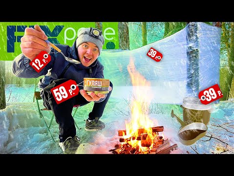 Видео: ВЫЖИВАНИЕ В ЛЕСУ С ТОВАРАМИ ИЗ ФИКС ПРАЙС