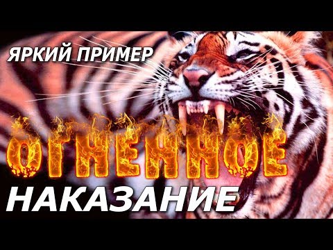 Видео: Огненное Наказание Яркий Пример. Астролог Дарья Высоцкая.