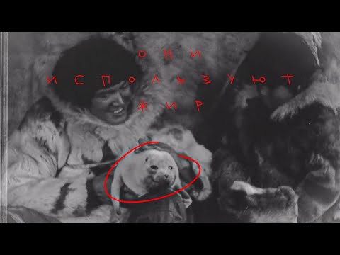 Видео: ПОЧЕМУ ИГЛУ ЭСКИМОСОВ НЕ ТАЮТ, ХОТЯ ВНУТРИ ТЕПЛО?