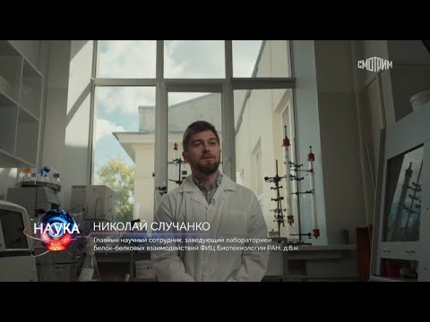 Видео: Тайна зеленого окраса кузнечика раскрыта