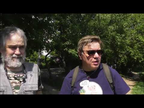 Видео: Сходненский ковш. Аномальная зона. Москва. Андрей Сафронов и компания. 9 06 2022 г.