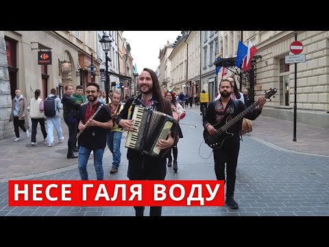 Видео: Ніхто не виконує НЕСЕ ГАЛЯ ВОДУ так, як цей гурт
