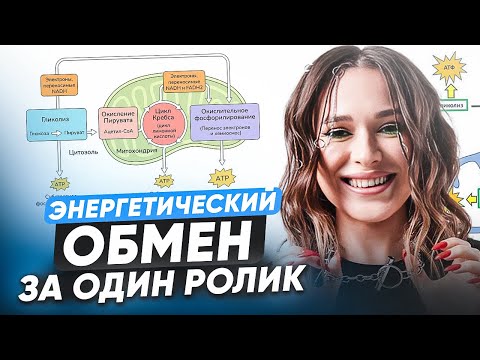 Видео: Основные этапы ЭНЕРГЕТИЧЕСКОГО ОБМЕНА на 100 баллов! / Как БЫСТРО разобраться для ЕГЭ по биологии?