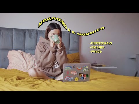 Видео: VLOG.5: я сама потеряла нить истории