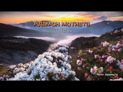 Видео: Шота Багаев - Адамон мотивта | Премьера трека 2024