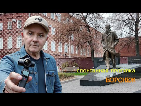 Видео: Спонтанная прогулка, Воронеж 04 11 25г #осень #ноябрь #Воронеж#обзоргорода