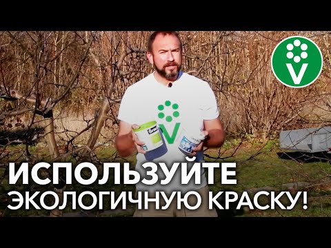 Видео: НЕ БЕЛИТЕ ДЕРЕВЬЯ ЭТОЙ КРАСКОЙ!