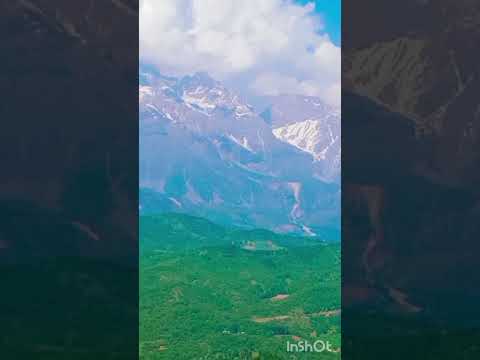 Видео: 31 октября 2025 г.