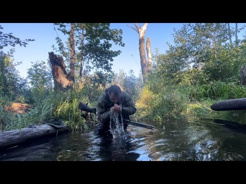 Видео: Запах смерти.