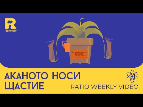 Видео: Аканото носи щастие [Ratio Weekly с Никола Кереков]