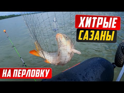 Видео: МОЩНЫЕ ПОКЛЕВКИ САЗАНА/ ПЕРЛОВКА И ОБЛЕПИХА, УБОЙНАЯ НАСАДКА/ РЫБАЛКА НА САЗАНА