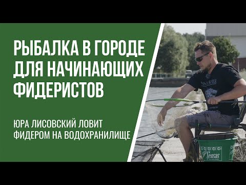 Видео: Как научиться ловить фидером. Городские водоемы.