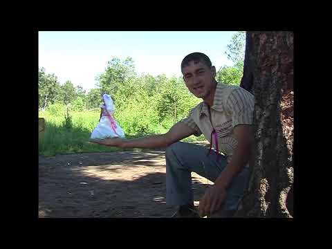 Видео: цыг свадьба в Крахале