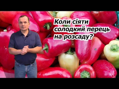 Видео: Посійте насіння перцю в ці строки та отримайте гарну розсаду!