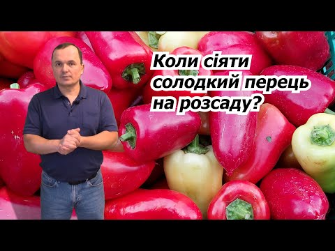 Видео: Посійте насіння перцю в ці строки та отримайте гарну розсаду!