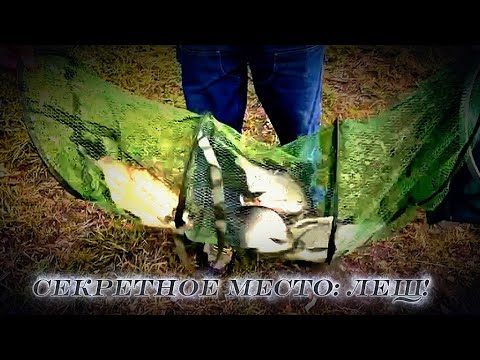Видео: СЕКРЕТНАЯ точка: таежный ЛЕЩ!