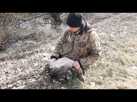 Видео: ГУСЬ 2022. ОТКЫТИЕ.ГУСЬ В АФГАНСКОМ КАЗАНЕ