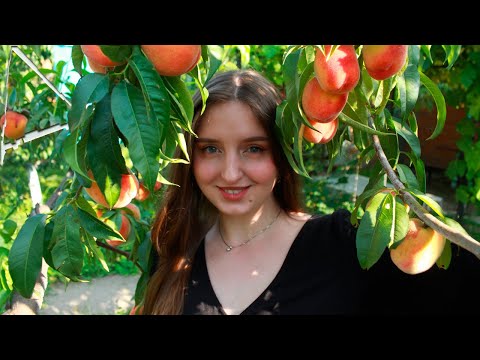 Видео: Вечерние посиделки | Разговорный стрим