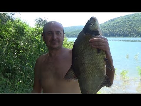 Видео: Рай на Дністрі. Рибалка і відпочинок на Дністровському водосховищі