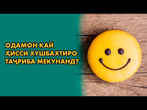Видео: Одамон кай ҳисси хушбахтиро таҷриба мекунанд?