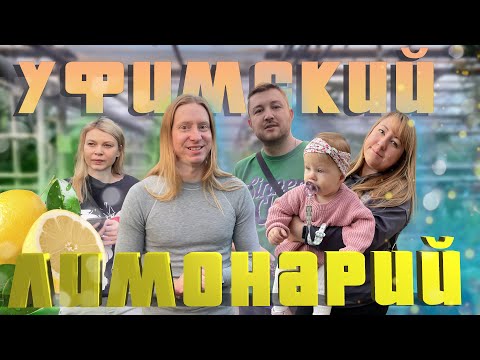 Видео: Куда пойти в Уфе зимой? Лимонарий обзор от #matveyedrenkin