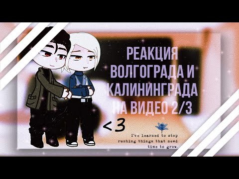 Видео: Реакция Калининграда и Волгограда на видео 2/3 |ᴡʏʟᴀɴɴ|