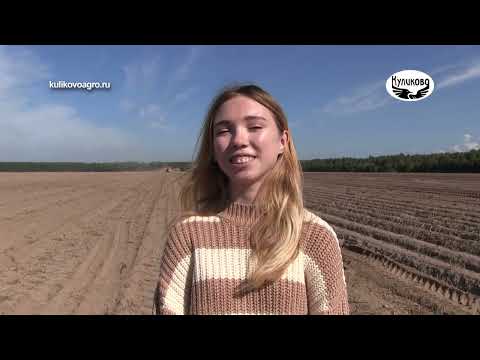 Видео: Студенты-агрономы на экскурсии в ЗАО «Куликово». 13.09.2023