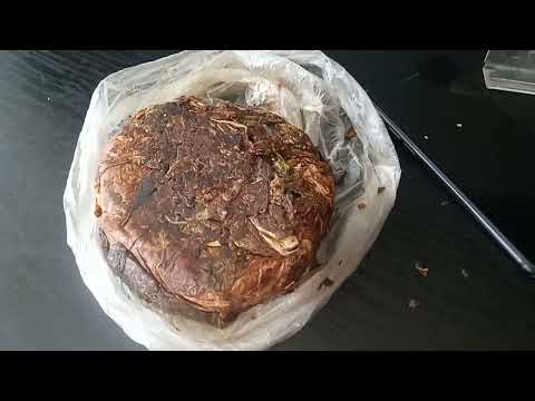 Видео: Плаг по- бразильски!