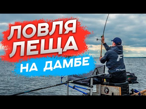 Видео: Ловля леща на фидер. Северная Дамба Санкт-Петербурга. Тактика и секреты от BRO.