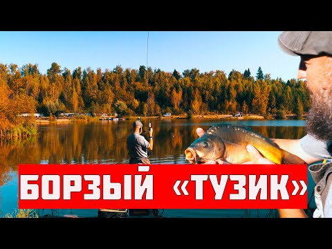 Видео: ВСЕГДА С РЫБОЙ! КАРП НА ФИДЕР. НОРМА вылова ЗА ЧАС!