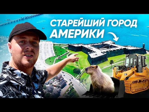 Видео: Жизнь в США | Дальнобой | Бульдозер | Капибары