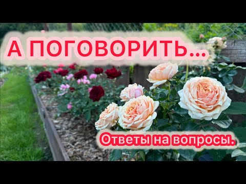 Видео: СамСебеАгроном в прямом эфире. ОТВЕТЫ НА ВОПРОСЫ.