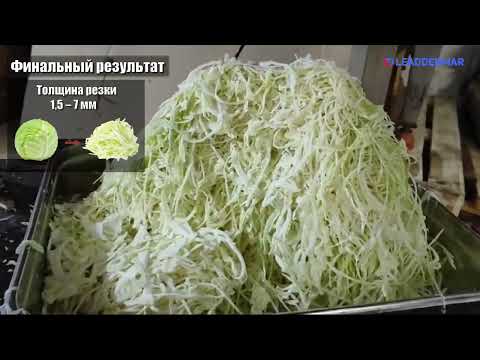 Видео: Машина для шинковки капусты Leaddenmar Cabbage Slicer L3000 | Полный обзор от Профи