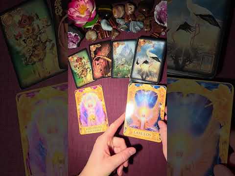 Видео: Карта дня на 15 ноября 2025 года!