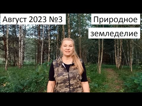 Видео: Август 2023 №3 Природное земледелие.