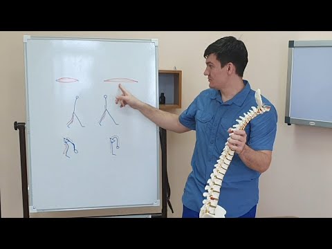 Видео: Почему мышцы становятся напряженными и укорачиваются. И почему их нельзя растягивать