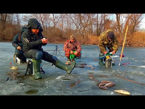 Видео: ЭТОТ ЗАЛИВ КИШИТ КРУПНЫМ КАРАСЕМ.Зимняя рыбалка на карася