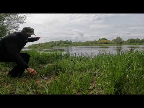 Видео: РЫБАЛКА НА ДОНКИ