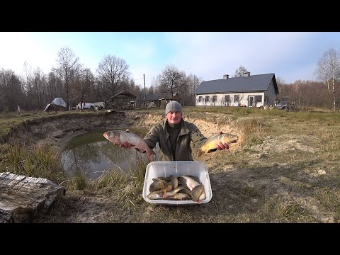 Видео: ВЫРАЩИВАЮ НЕ ТОЛЬКО ПОРОСЯТ и ОВЕЦ, НО И РЫБУ. МОЯ ЖИЗНЬ в ГЛУХОЙ ДЕРЕВНЕ на   КРАЮ ЛЕСА. №324