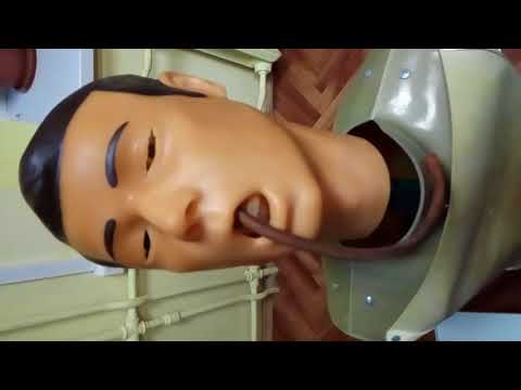 Видео: Кормление через зонд