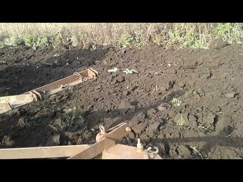 Видео: МТЗ догружатель плуг