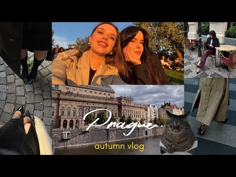 Видео: Autumn Prague Vlog: лечу до подруги в Чехію 🤎🍂