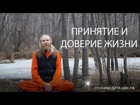 Видео: Принятие и доверие жизни