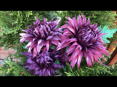 Видео: Остролистный Георгин или Хризантема??? Цветы из гофрированной  бумаги.