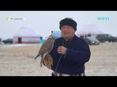 Видео: ҰЛТ ҚАЗЫНАСЫ. Батыл құс