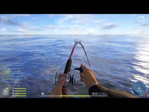 Видео: Догадайтесь что за рыба по рывкам